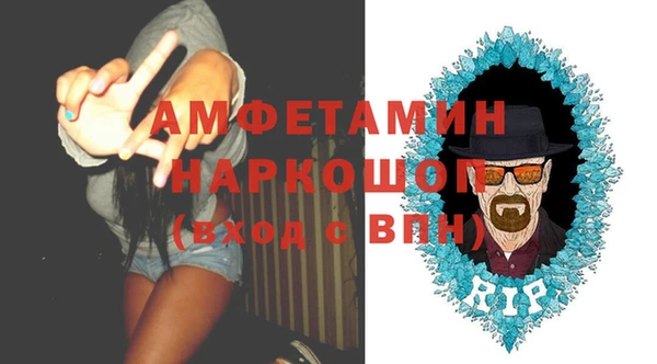 ПСИЛОЦИБИНОВЫЕ ГРИБЫ Абаза