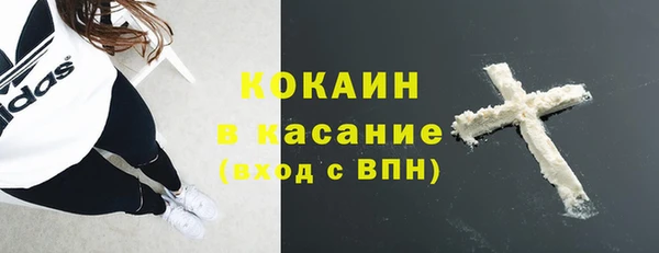 ПСИЛОЦИБИНОВЫЕ ГРИБЫ Абаза