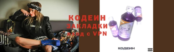 ПСИЛОЦИБИНОВЫЕ ГРИБЫ Абаза