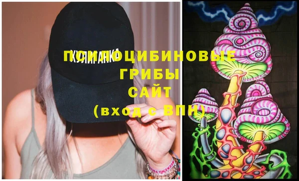 крисы Осинники