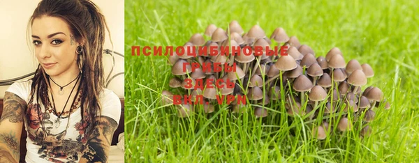 спайс Осташков