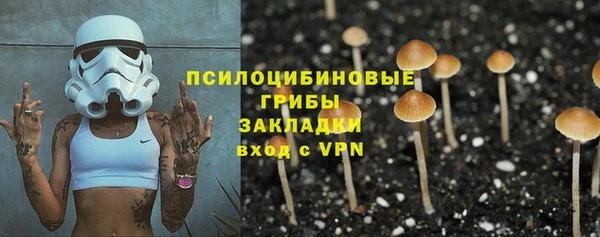прущий лед Алзамай