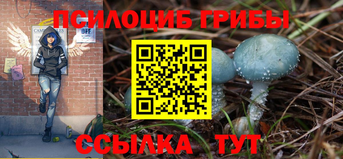 Галлюциногенные грибы мухоморы Магнитогорск