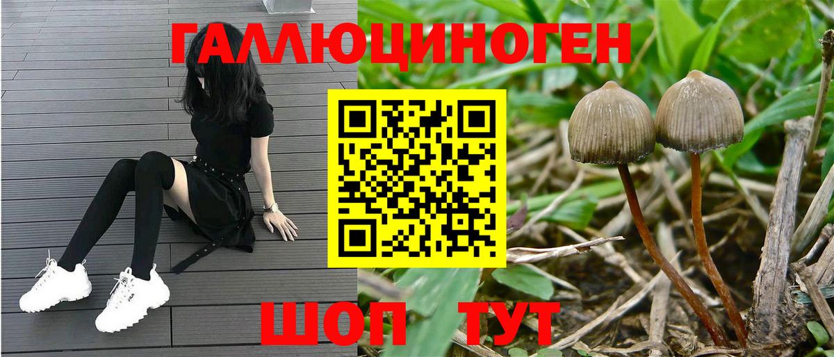 Магнитогорск  Псилоцибиновые грибы GOLDEN TEACHER  Вход с VPN 